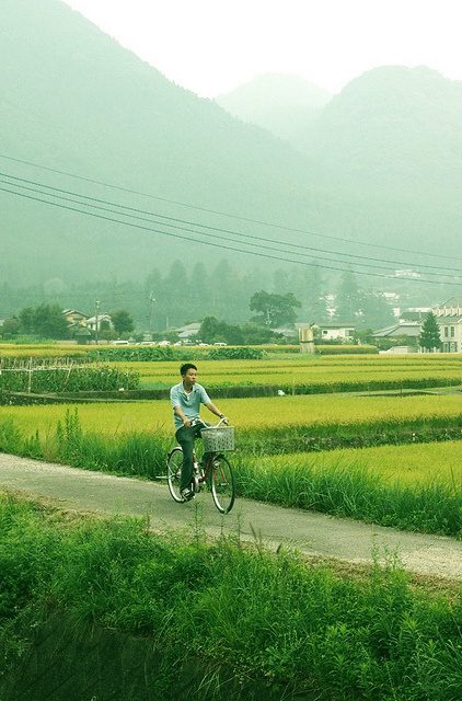 Imagen de chico en bicicleta por el campo